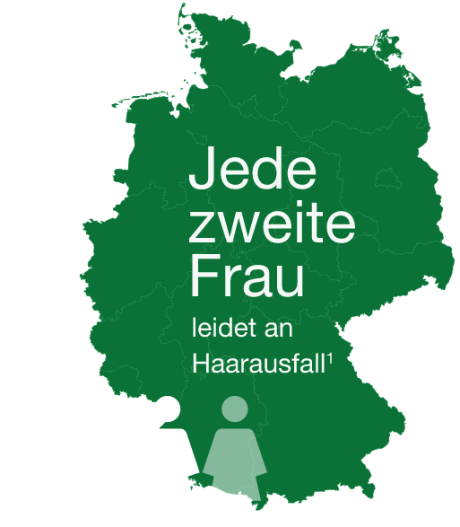 image of the map and icons of the people