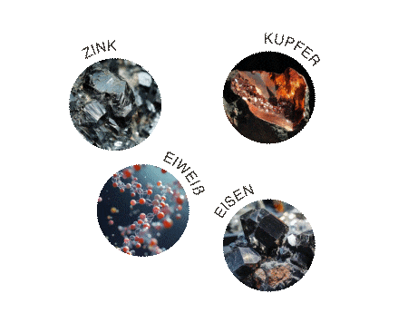 Icons von Moleüle.